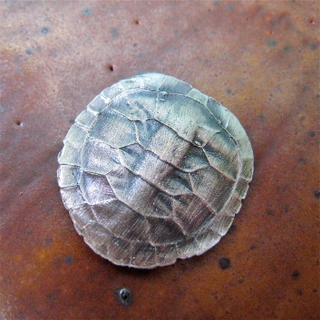 Turtle Island: Turtle Shell
